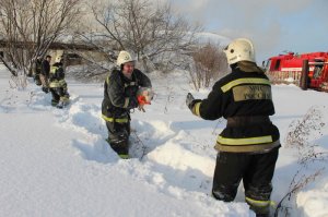 Пожарные и спасенные ими животные