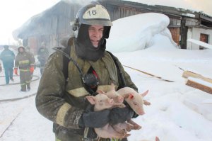 Пожарные и спасенные ими животные