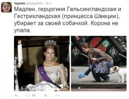 12-летний школьник запустил социальный бизнес по уборке «мин» за собаками во дворах