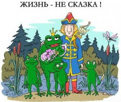 Прикольные картинки