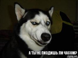 Яжемать в автосервисе