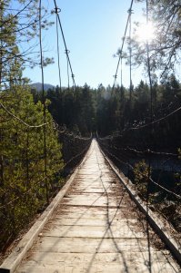 И снова Алтай