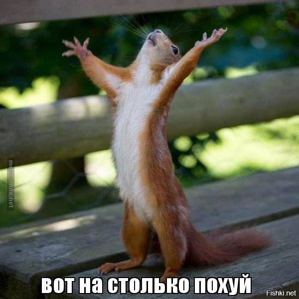 Евровидение задумало наказать Россию санкциями