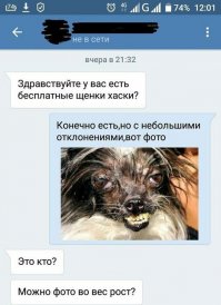 Смешные комментарии из социальных сетей 