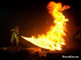 Сотни гусениц закружились в  хороводе