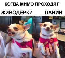 10 актеров, в один миг профукавших все, что имели (11 фото)