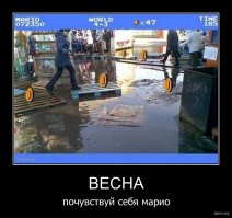 Прикольные картинки и демотиваторы