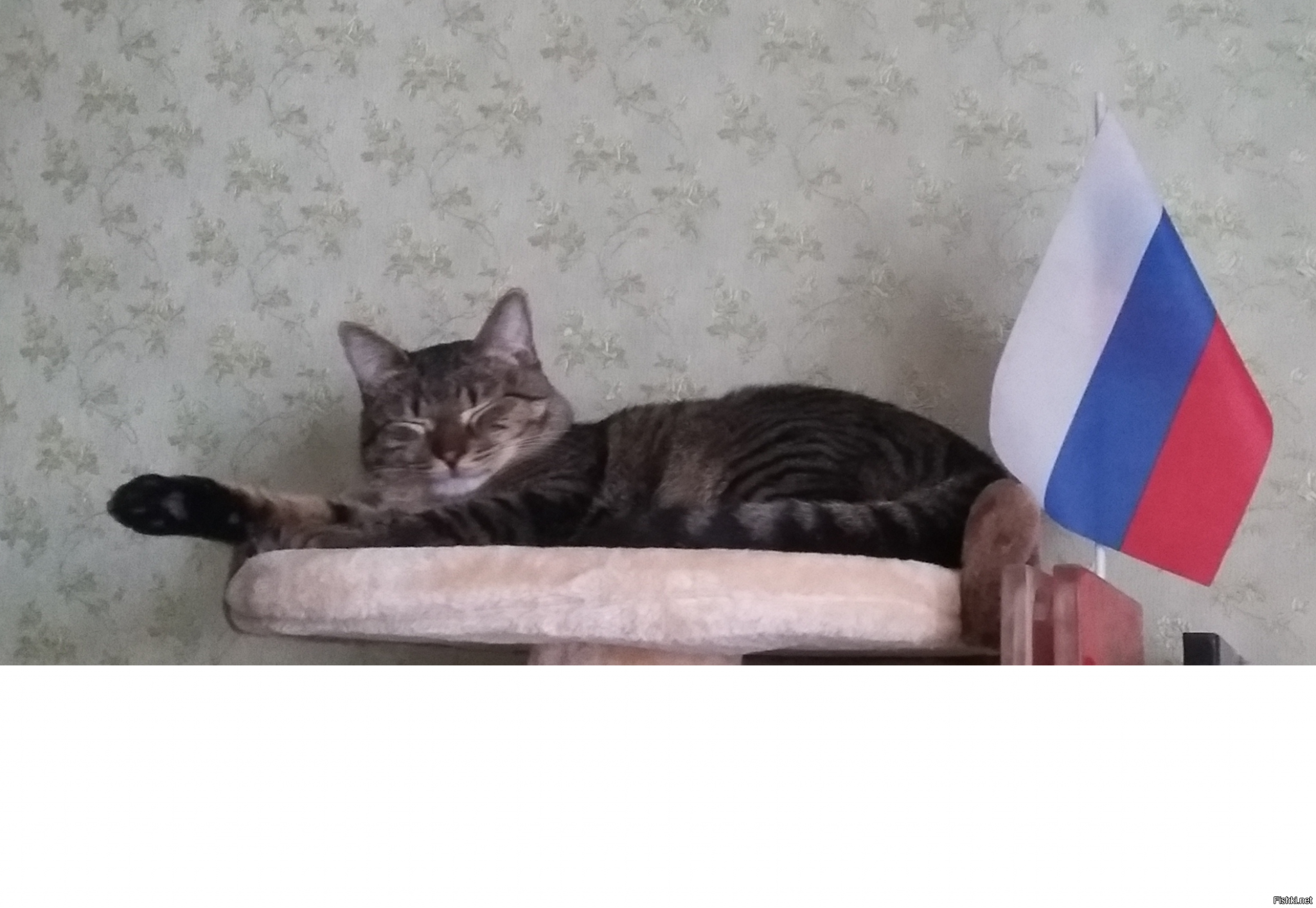 Сколько на самом деле получают внесистемщики