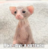 Инопланетная красота сфинксов