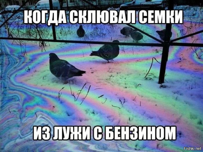 Подборка автомобильных приколов