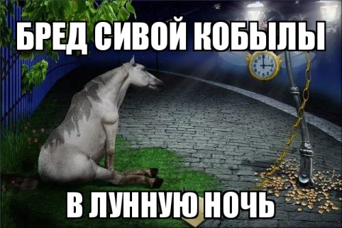 Мы кричали, но люди разбегались, как тараканы
