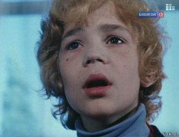 20 чудесных снимков, которые поднимут вам настроение