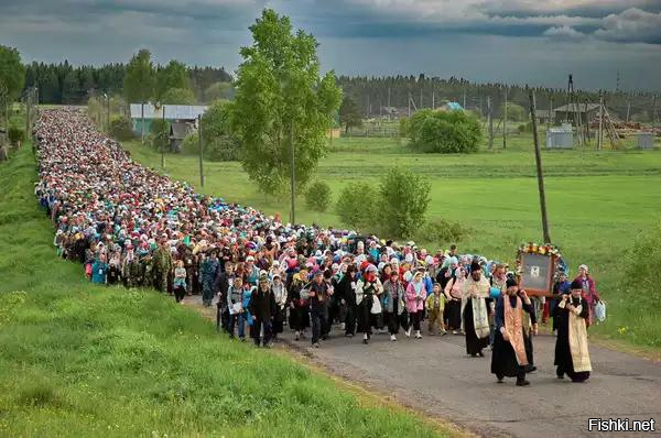 Сотни гусениц закружились в  хороводе