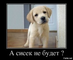 Как живет один из старейших кварталов «красных фонарей» в Берлине