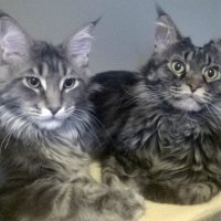 ну а как же :)