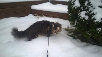 ну а как же :)