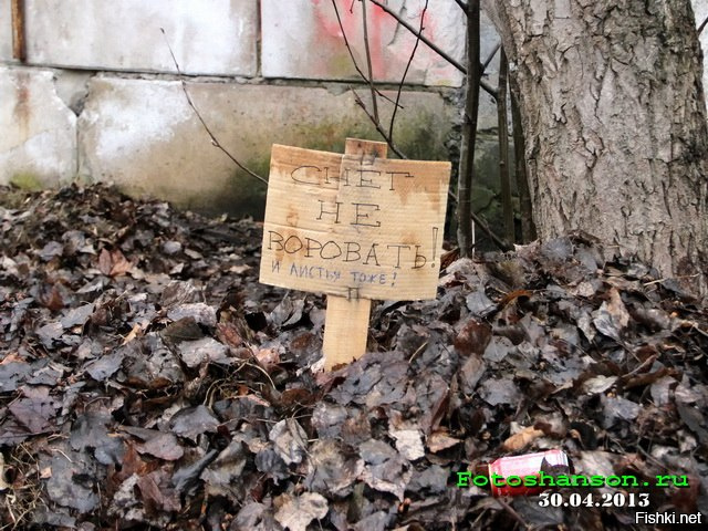 Что запрещено в России?