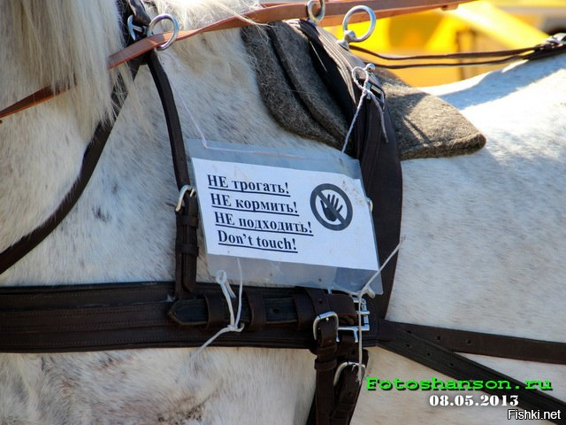 Что запрещено в России?