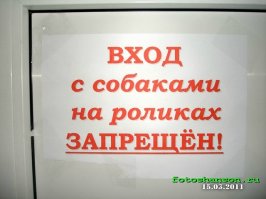 Что запрещено в России?