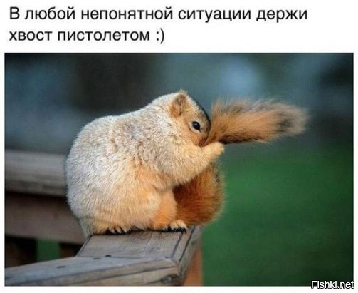Веселая пятничная подборка