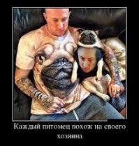 Прикольные картинки и демотиваторы