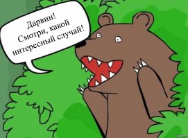 военные корреспонденты не всчет