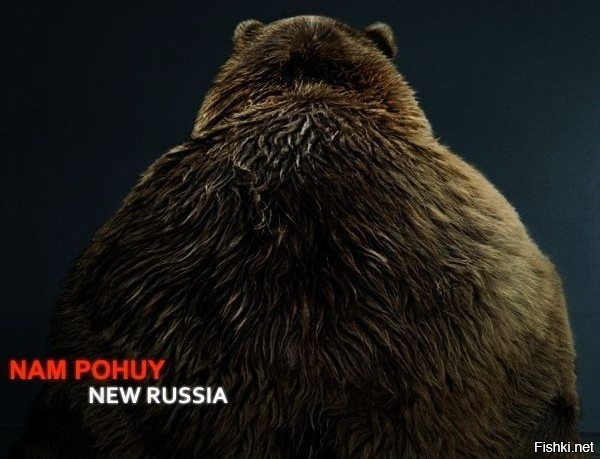 Германия намерена развивать партнёрские отношения с Россией