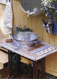 13 самых необычных раковин в мире