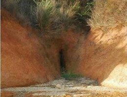 Всем кажется ...