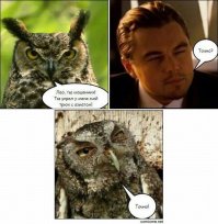 Заботливая сова