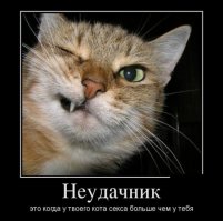 Мой усатый живет сразу с двумя кисами. Куда мне до него.