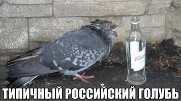 Спасибо, друг!