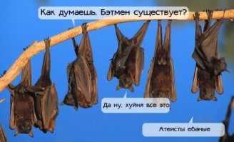 Мыши? Летучие, сэр!