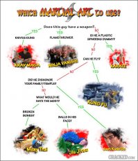 Боец ММА за считанные секунды победил мастера традиционного китайского боевого искусства 