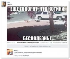 Смешные комментарии из социальных сетей
