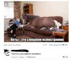 Смешные комментарии и высказывания из социальных сетей