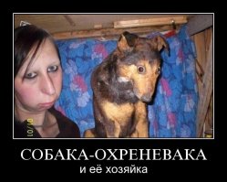 На меня напала шизанутая зоозащитница