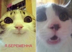 А вы точно не пришельцы?