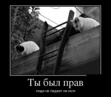 Феерические падения