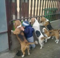 "Банда" готовится к налету. В синем главарь.