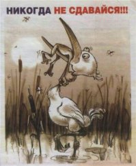 Эта рыба, захваченная в плен