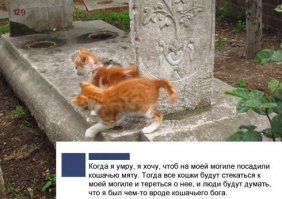 я бы так хотела на своей могиле, 
спасибо, за идею, лол 
когда буду старпёршей обязательно в завещании будет такой пункт
