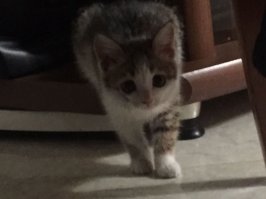 А вы точно не пришельцы?