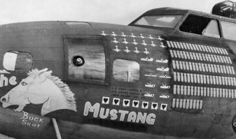 Я так полагаю что это знаки о достижениях?! "Два высосанных мозга" и "Один любовник, один обожатель, один садовник и один козёл, "который платит за всё".