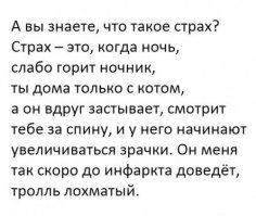 У меня так собака делает