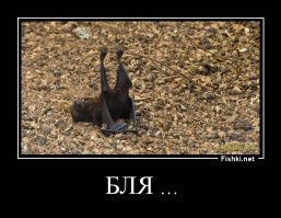 Феерические падения