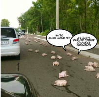 Забавные надписи и объявления