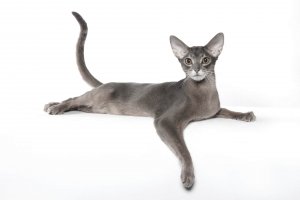 А вы точно не пришельцы?