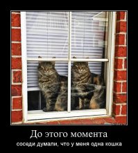 Фотографии близнецов в фотопроекте Петера Зелевски