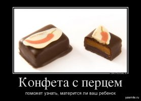 Портреты людей, попробовавших самый острый перец в мире